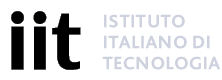 Istituto Italiano di Tecnologia